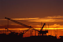 /images/store/40/CraneSunset.jpg