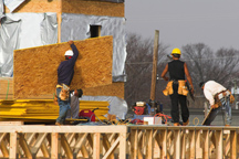 /images/store/40/Plywood_pict.jpg